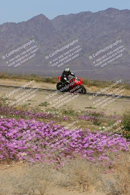 media/Feb-04-2023-SoCal Trackdays (Sat) [[8a776bf2c3]]/Turn 15 Inside Blooming (1050am)/